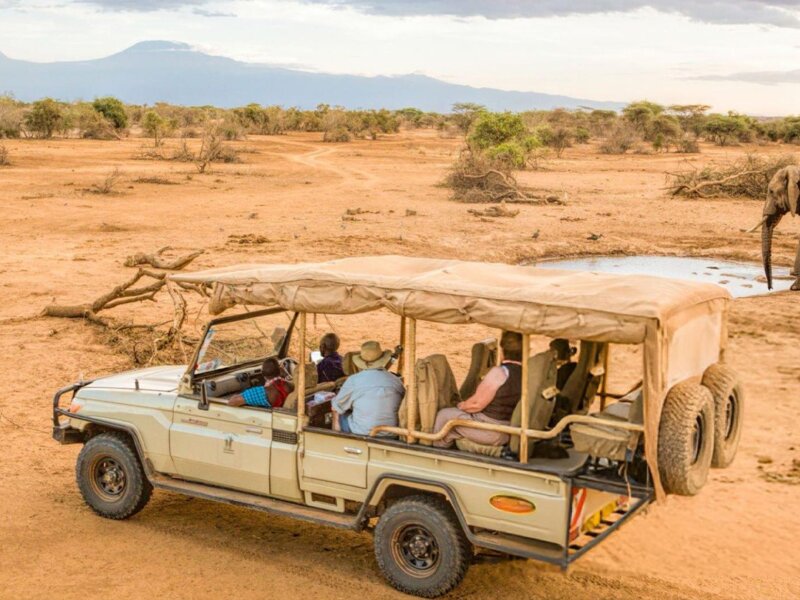 What are the best Kenya safari travel tips?