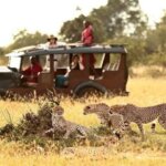 What are the best affordable Kenya safari packages?