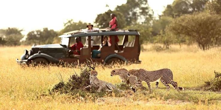 What are the best affordable Kenya safari packages?