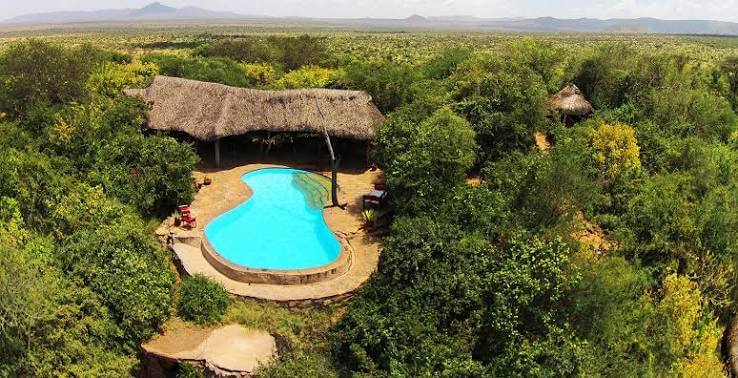 What are the best eco-lodges in Kenya?