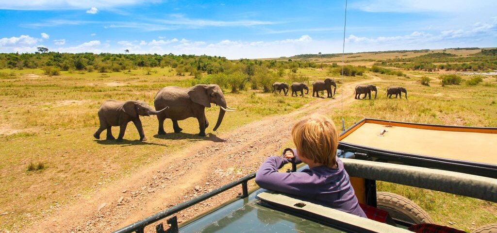 What are the best family adventure safaris in Kenya?