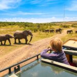 What are the best family adventure safaris in Kenya?
