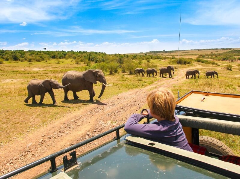 What are the best family adventure safaris in Kenya?