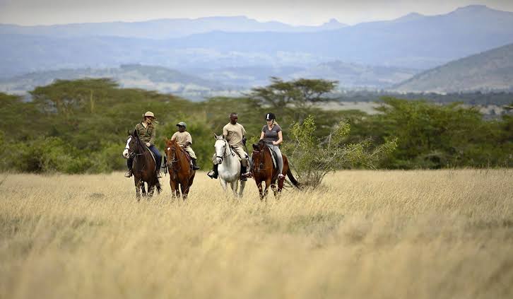 What are the best horseback safaris in Kenya?