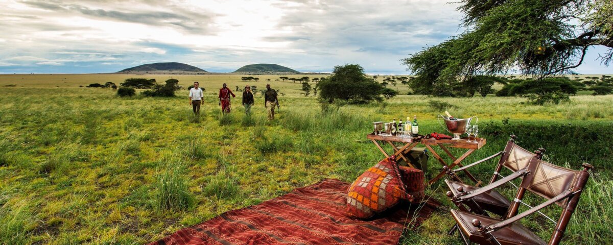 What are the best picnic safari spots in Kenya?