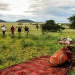 What are the best picnic safari spots in Kenya?