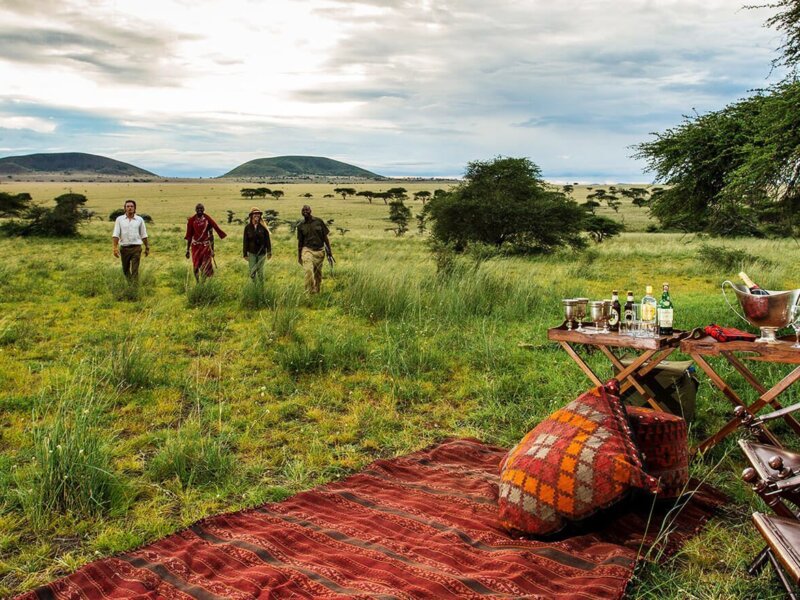 What are the best picnic safari spots in Kenya?