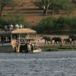 What are the best safari camps near river crossings?