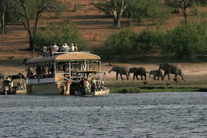 What are the best safari camps near river crossings?
