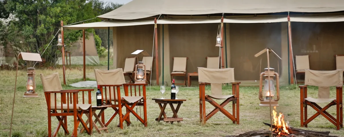 What are the best safari camps near wildlife migration routes?