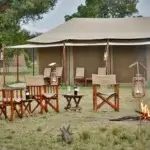 What are the best safari camps near wildlife migration routes?