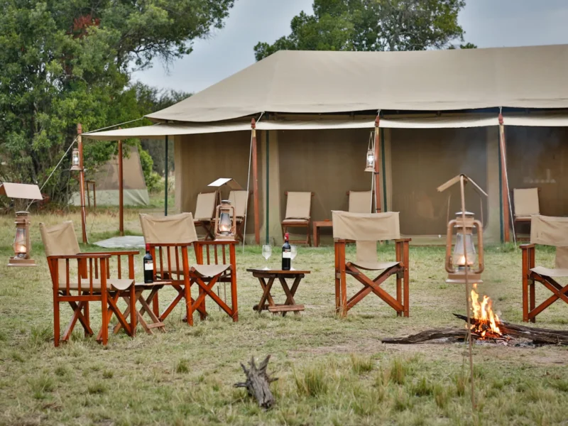 What are the best safari camps near wildlife migration routes?