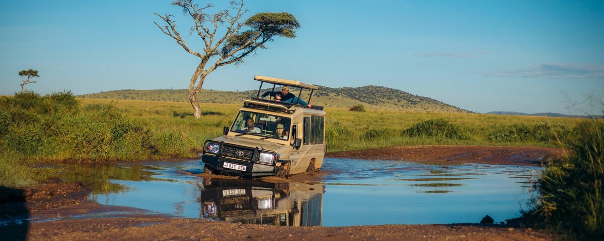What are the best safari destinations during low season