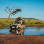 What are the best safari destinations during low season
