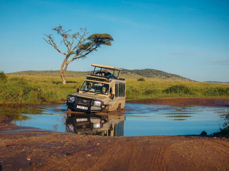 What are the best safari destinations during low season
