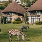 What are the best safari lodges in Lake Naivasha?