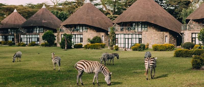 What are the best safari lodges in Lake Naivasha?
