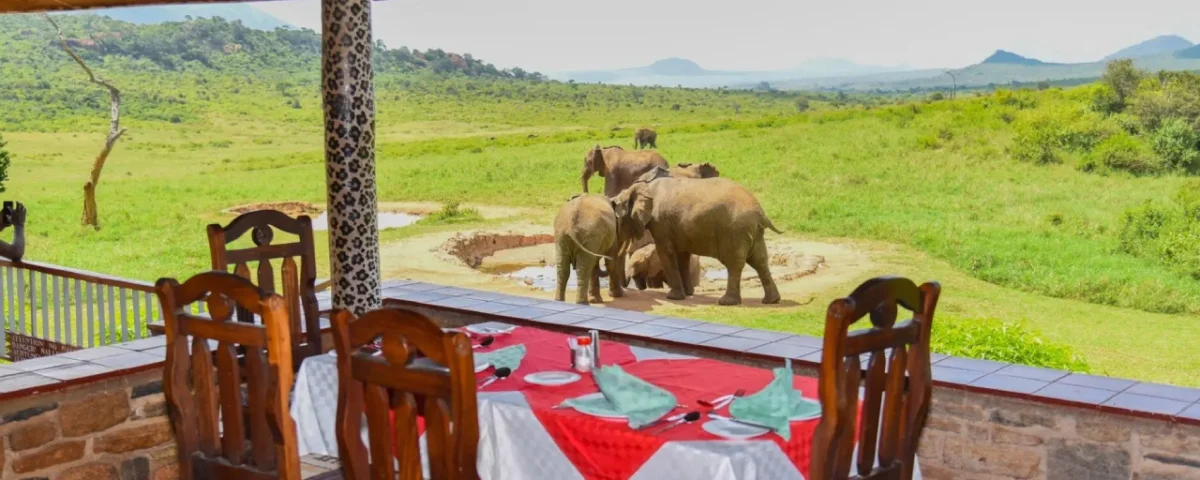 What are the best safari parks near Mombasa?
