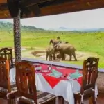 What are the best safari parks near Mombasa?