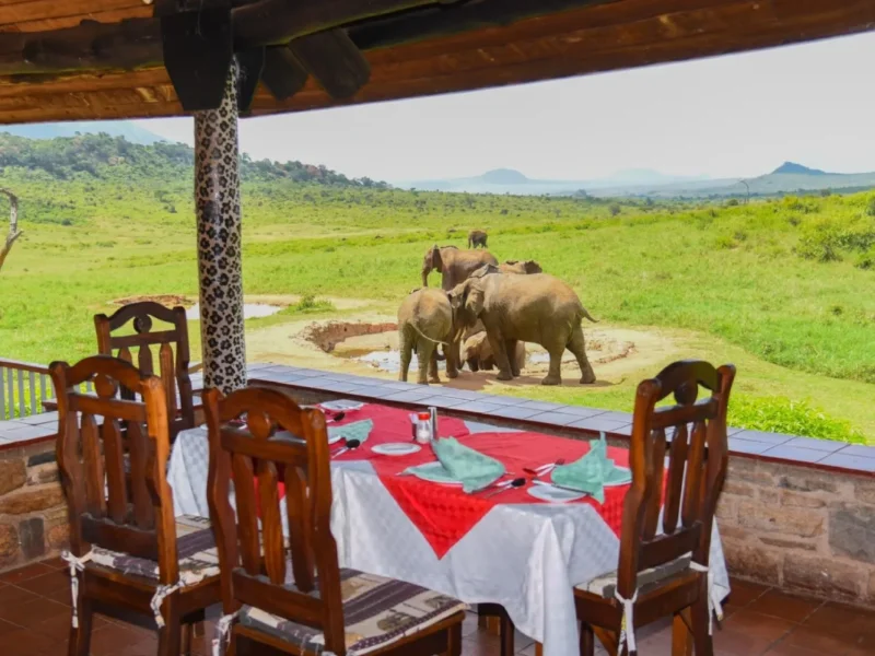 What are the best safari parks near Mombasa?