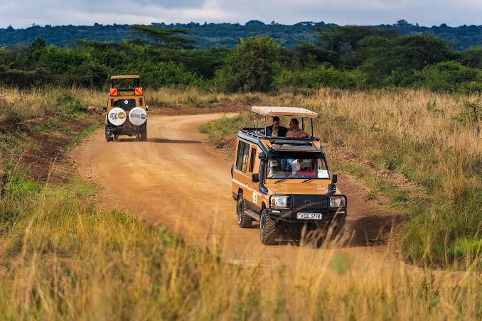 What are the best safari vehicles in Kenya?