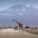 What are the best self-drive routes in Kenya?