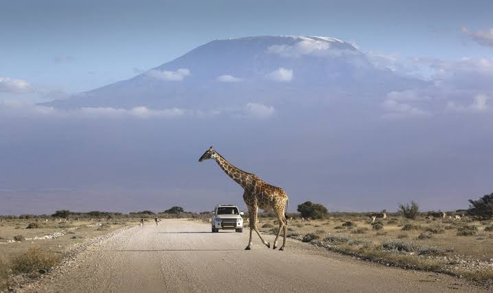 What are the best self-drive routes in Kenya?