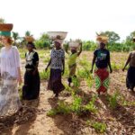 What are the best volunteer safari programs in Kenya?