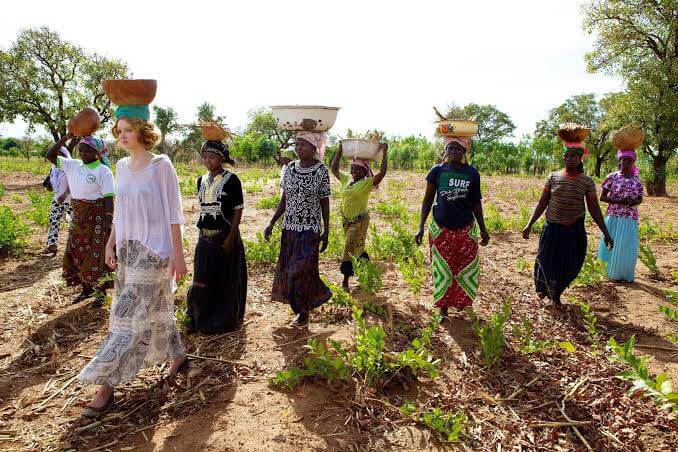 What are the best volunteer safari programs in Kenya?