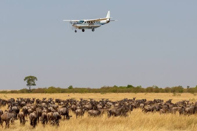 What is the best airport for Masai Mara safaris?