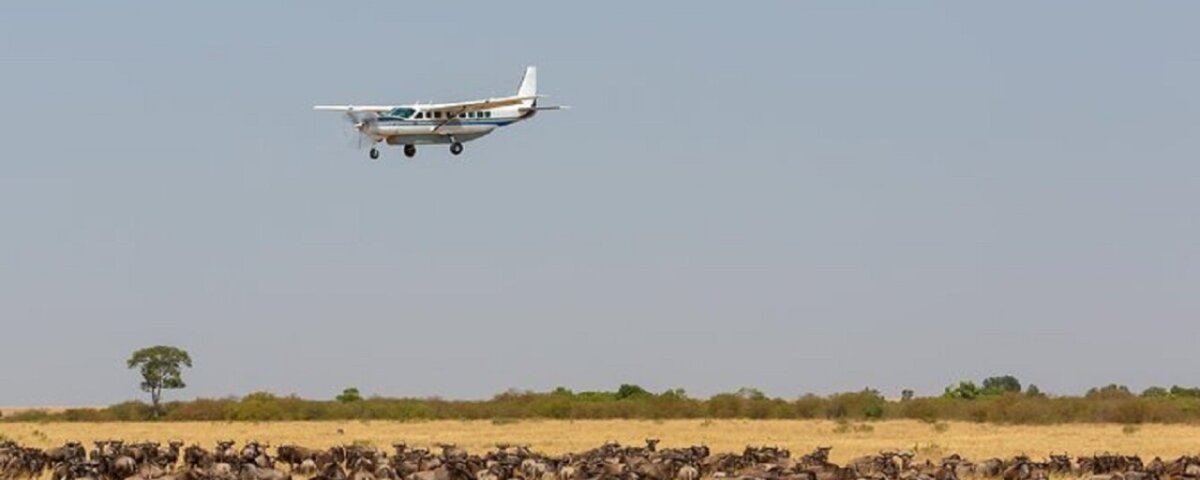 What is the luggage limit for fly-in safaris?