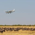 What is the luggage limit for fly-in safaris?