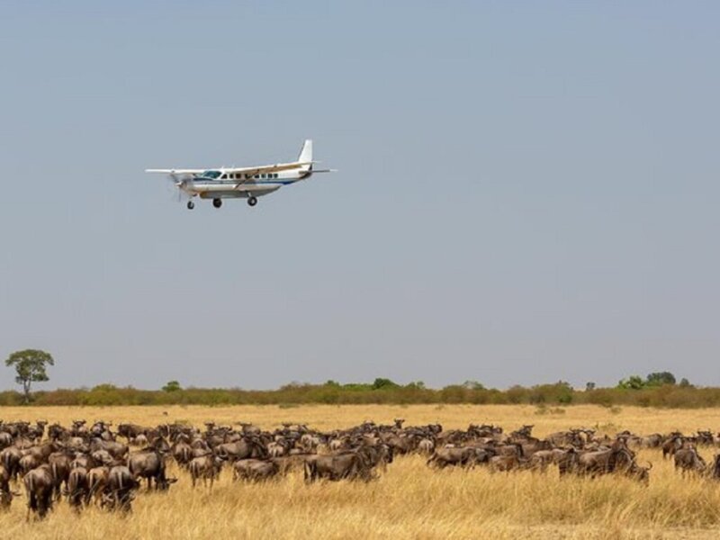 What is the luggage limit for fly-in safaris?