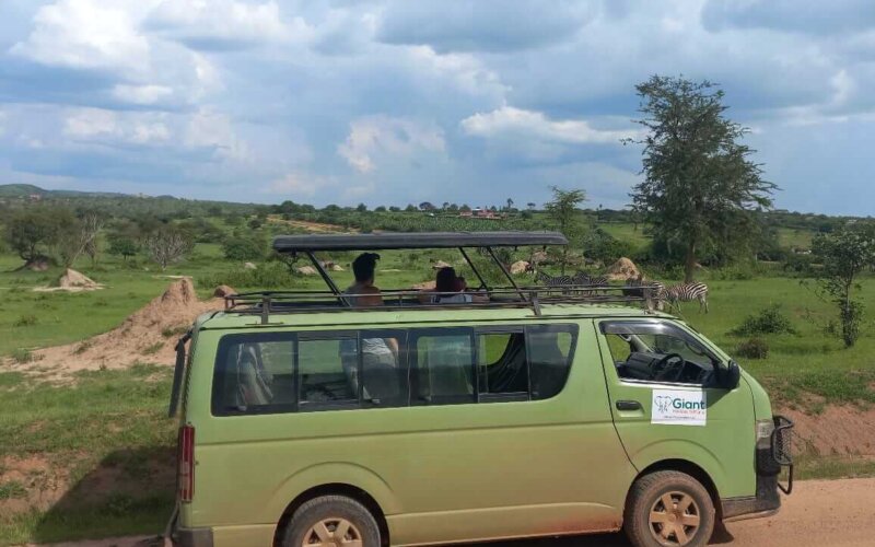 11 Days Uganda Wildlife and Gorilla Safari