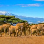 Which Kenya safari destinations are less touristy?
