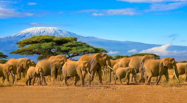 Which Kenya safari destinations are less touristy?