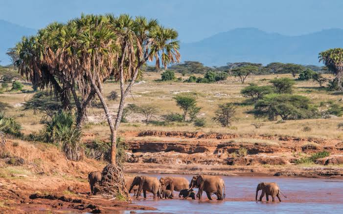 Which Kenya safari is best for wildlife photography?