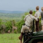 Which Kenya safaris are best for families with kids?