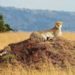 Which safari destinations are best in Kenya during July?