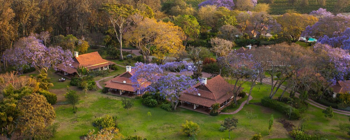 Which Lodges Are Near Arusha