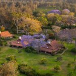 Which Lodges Are Near Arusha