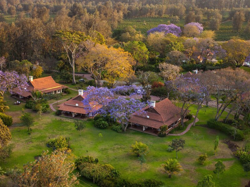 Which Lodges Are Near Arusha