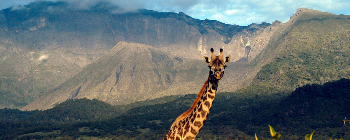 What Is Arusha Famous For