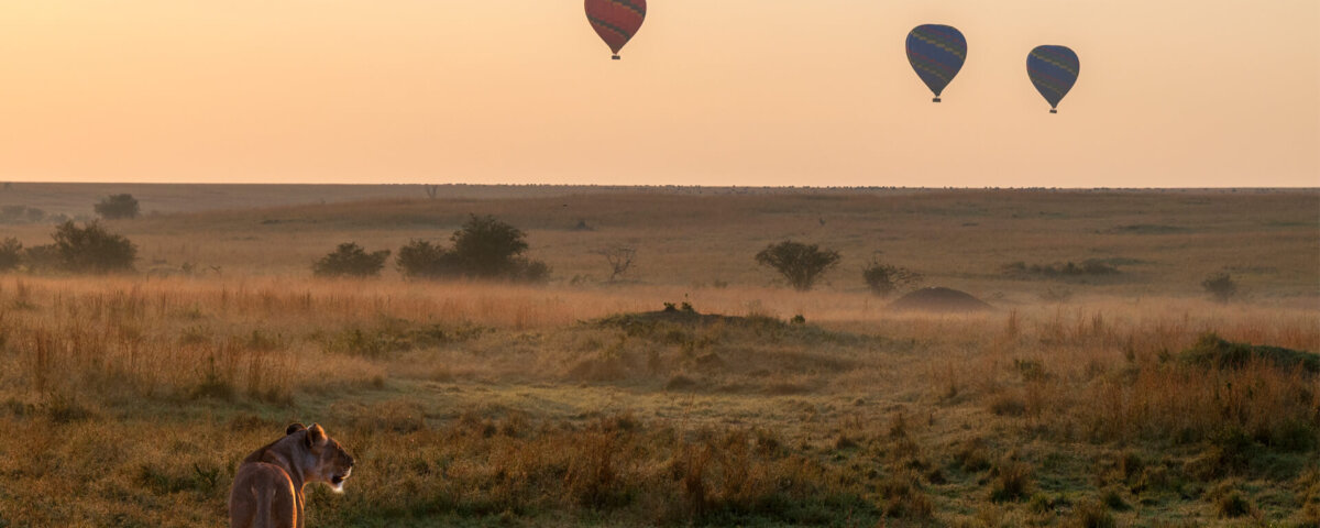 Can Honeymooners Do Balloon Safari