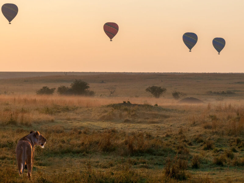 Can Honeymooners Do Balloon Safari