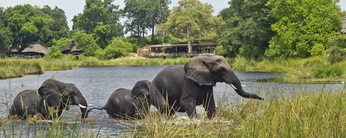 Is Tarangire Worth Visiting