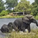 Is Tarangire Worth Visiting