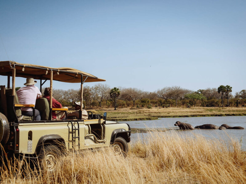 What Is Romantic Safari Itinerary in Tanzania