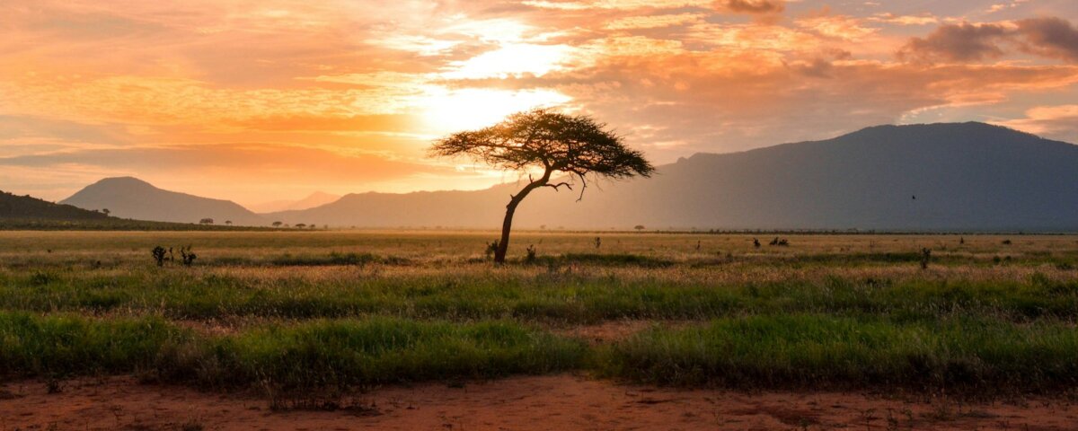 What Is All Inclusive Honeymoon Safari Tanzania