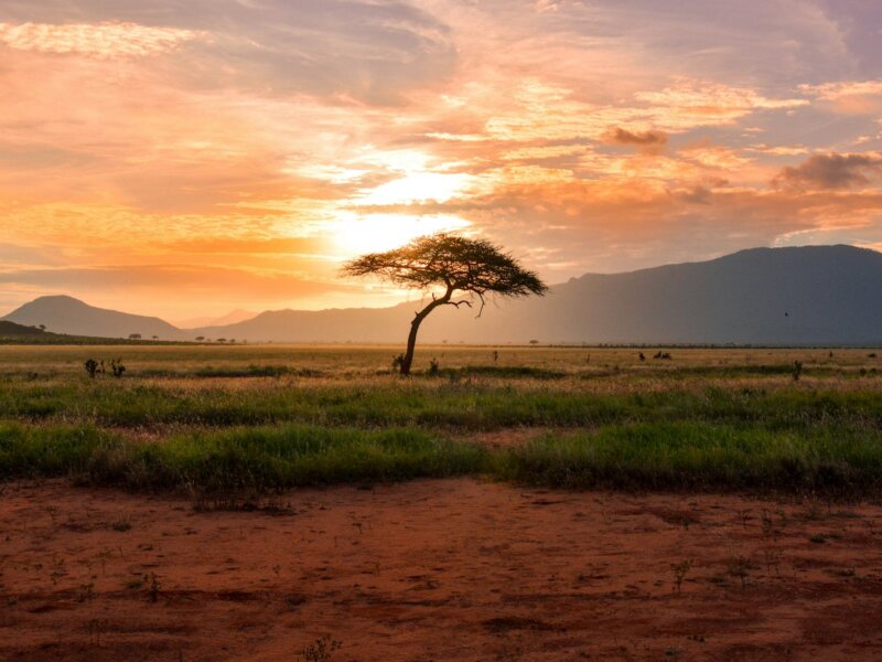 What Is All Inclusive Honeymoon Safari Tanzania